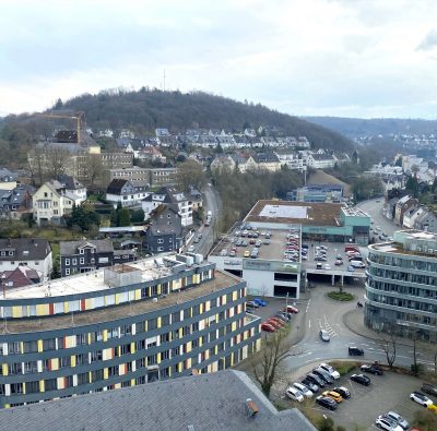 waldrich-dieter-pfau